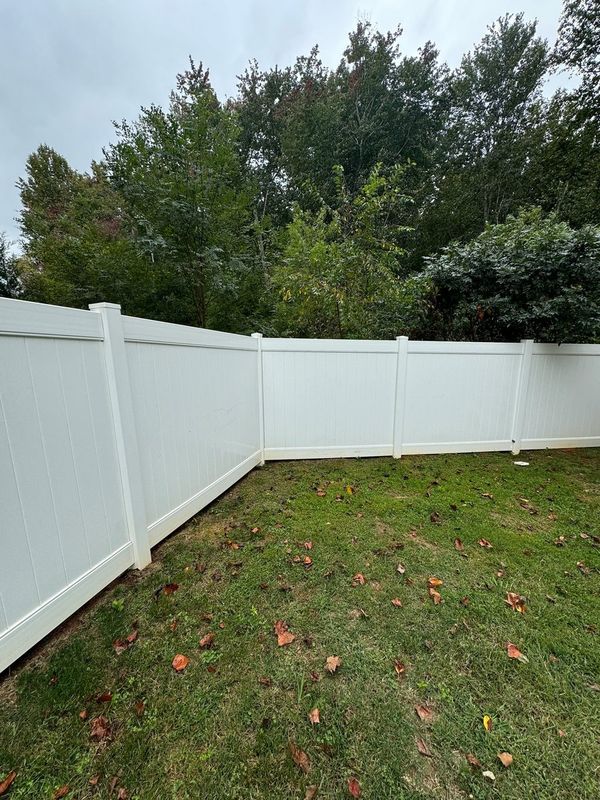 Fence after pressure washing