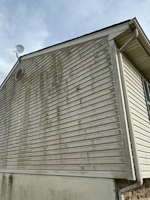 Siding before exterior cleaning